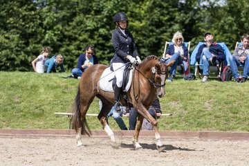 Bild 367 - Pony Akademie Turnier